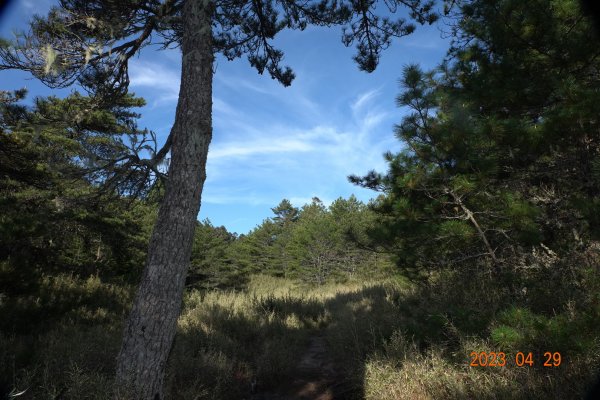 南投 仁愛 武法奈尾山2133750