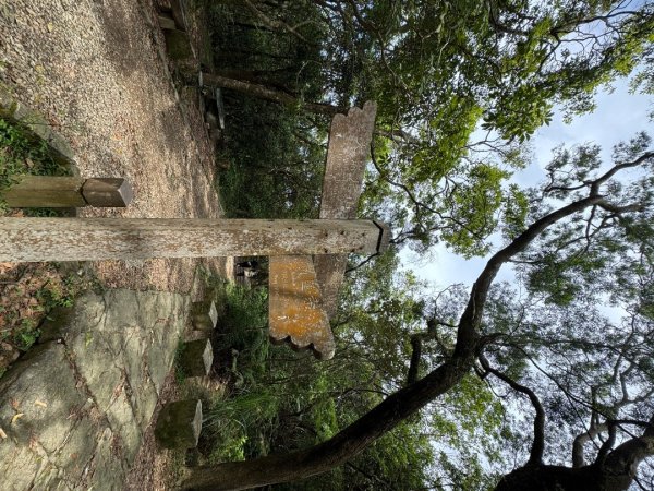 2025/04/13 小百岳第008「大崙頭山」2760271