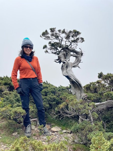 玉山群峰前五峰後四峰2610630