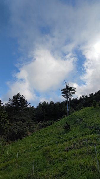 武法奈尾山1946750