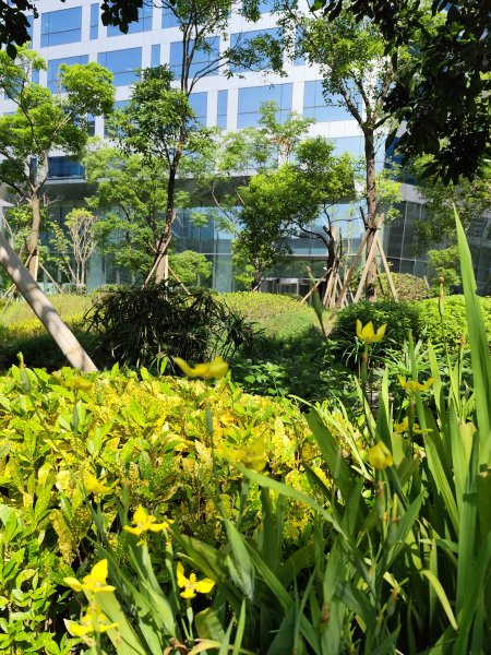 宏匯瑞光廣場、大港墘公園、基隆廟口夜市、基隆港高空煙火秀2796406