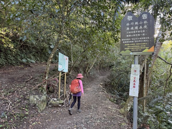 山毛櫸掉光光的 卡保逐鹿O繞 202511152937442