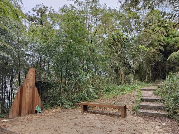 2023.12.23 梨子腳山2833269