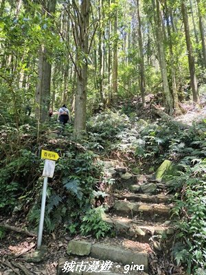 【台中和平】長壽山_肥崠山_山徑3077640