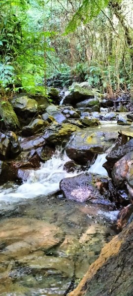 烏來大桶山腳下“秘徑”…桂山路走到底2415519