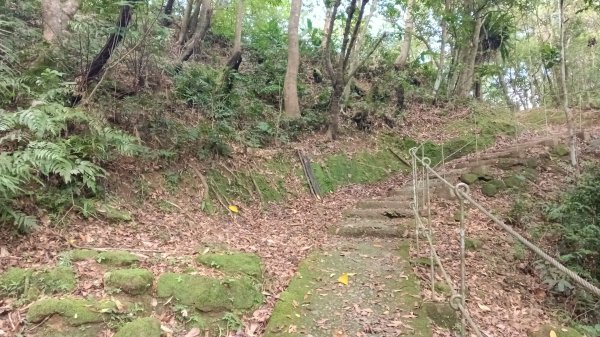 平溪區碩仁里-幼坑古道-幼坑山-幼坑山南鞍-大平林山-番子坑生態園區-番子坑3086148