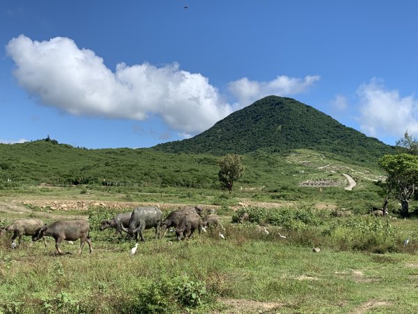 20251006屏東老佛山-老佛山西峰2907874