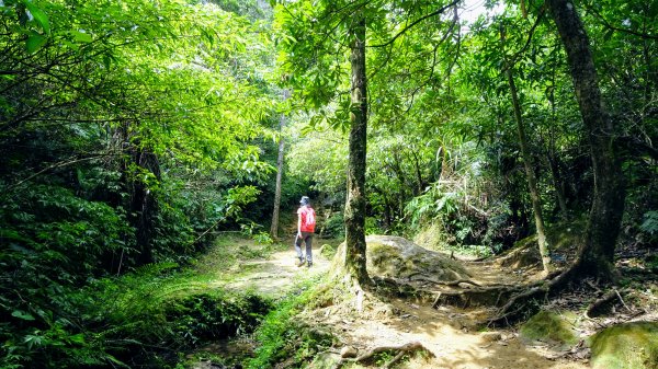 三貂嶺,中坑,柴寮古道1838290