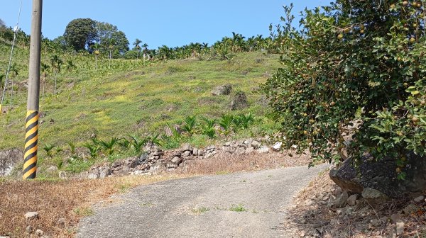 台中和平區大茅埔山3129202
