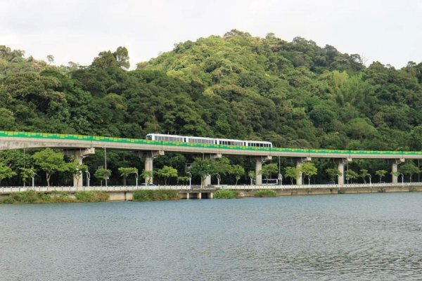 內湖 白鷺鷥山，大湖公園。昔日內湖舊八景之一，文湖線  九曲橋 錦帶橋 白鷺鷥 ，勾勒出最美一幅畫2170080