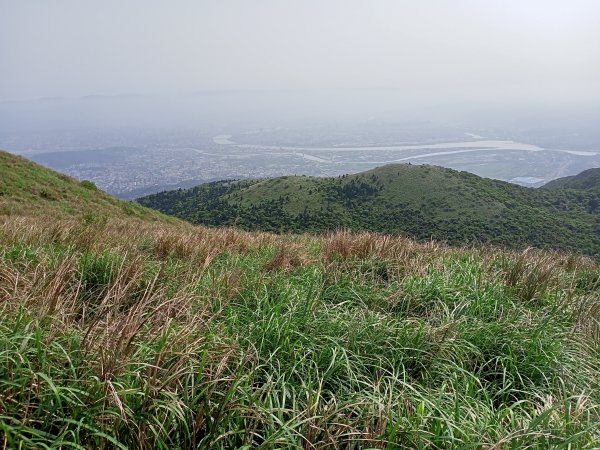 【臺北大縱走 2】【台北-臺灣百大必訪步道】視野遼闊的大屯山主峰，風景秀麗的頂湖海芋步道、水車寮步道1340304