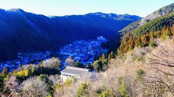 郡上八幡城的白帆2982598