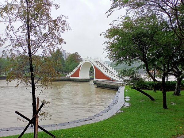 大湖公園 (防災公園)【走路趣尋寶，全臺齊步走】1895266