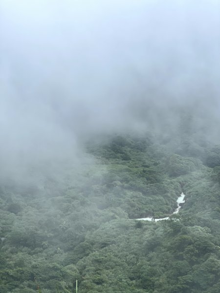 【臺北大縱走第三段】小油坑→風櫃口 之 天雨路滑小孩還特別多2178617