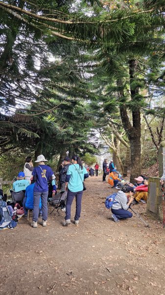 【馬年走馬山，馬到就成功！】🐴馬年馬路要走，馬那邦🏔️也要登！O繞11K，爬升900M，🥾腿在2977195