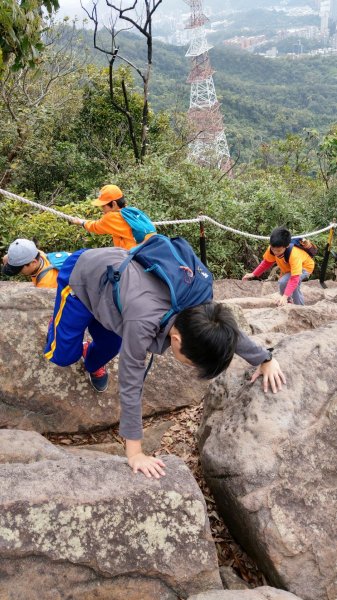 內湖金面山步道890438
