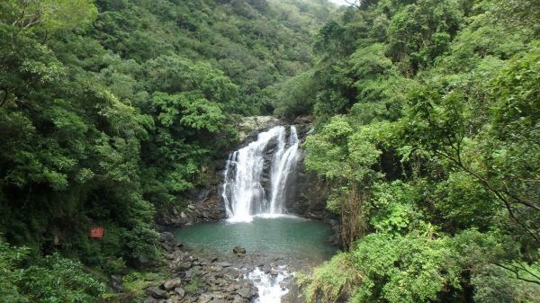 【走在台灣的脊樑上】活水之路：雙流森林步道