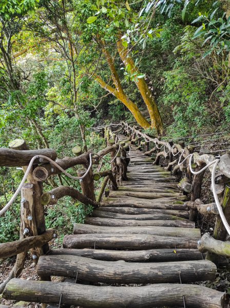 大坑3號登山步道1684750