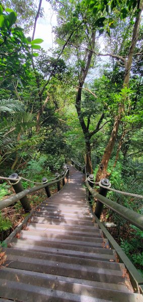 2024-06-15觀音山【福隆山、尖山(占山)登山步道】O走2528232