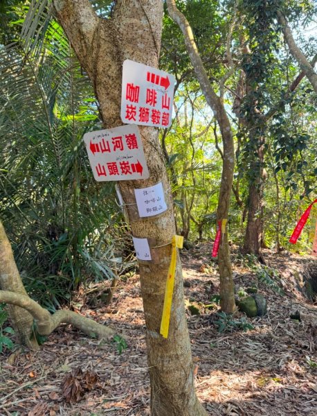 崁頭山(小百岳#64)嘉林湖山 咖啡山 獅額山環形2667690