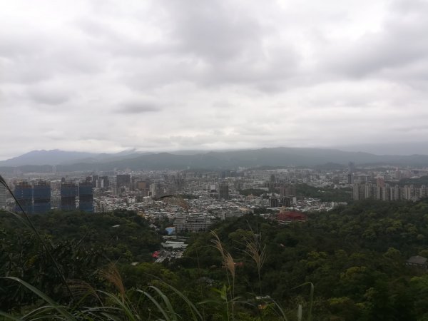 與母親爬山—虎山步道群/探訪秘境黃蟬園895173