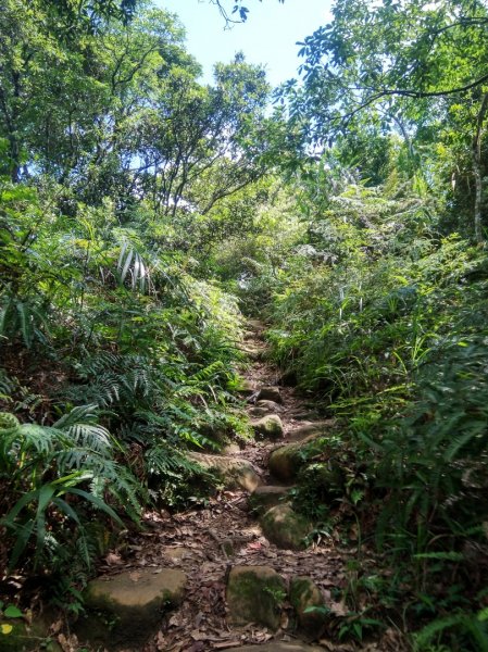 南邦寮山 二格山 O型993389