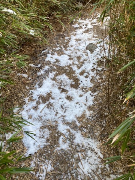 一日單攻白姑大山821453