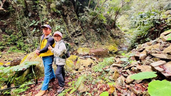 🌈2/7（六）-2/8（日）上帝部落~司馬庫斯神木2日深度之旅✨FB：熊熊趴爬走🌈🌈2995148