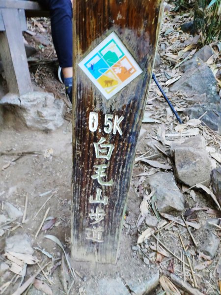 谷關七雄老六_白毛山1232058