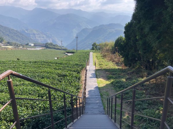 嘉義縣番路鄉二延平山1965541