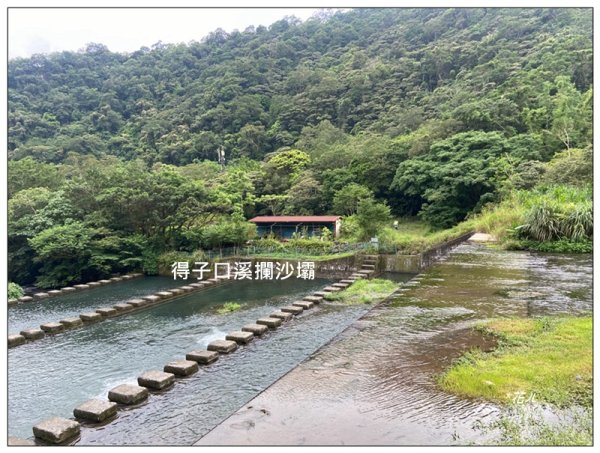 聖母峰、三角崙山 (抹茶山) 連走2802247