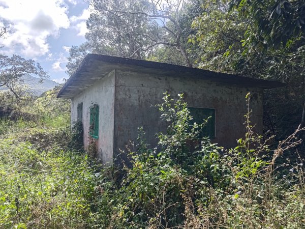 盆貿里山三盆連走2749584