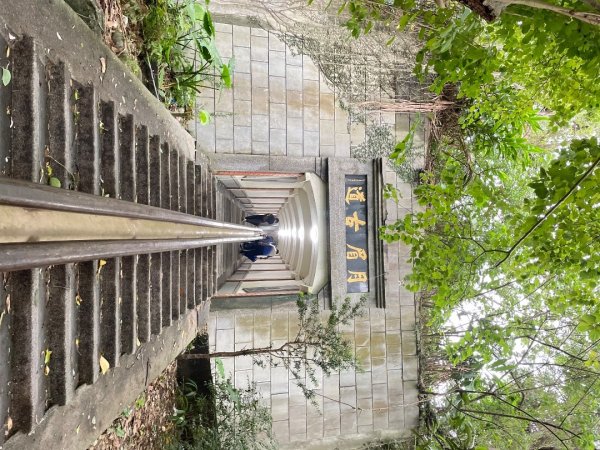 桃園大溪-花彩節🌼李騰芳古厝-月眉落雨松2934856