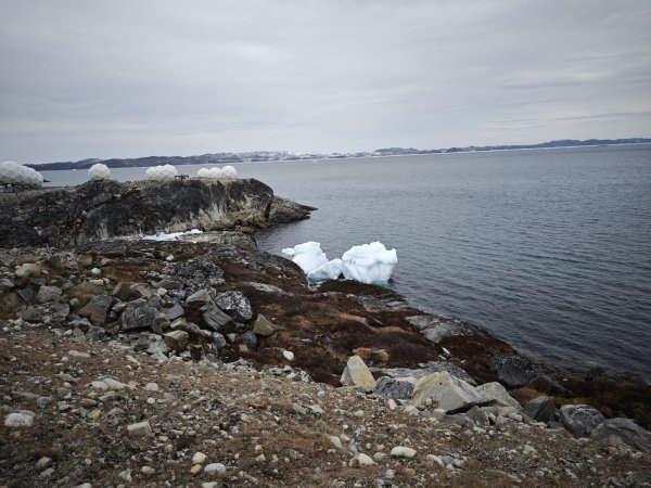 [紐約馬之行-48] 2025_1108 努克環狀步道 5/52951675