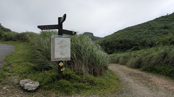 115.05.31燦光寮古道-草山-不厭亭之旅3067249