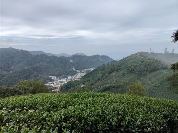 2023.12.23 梨子腳山2833275