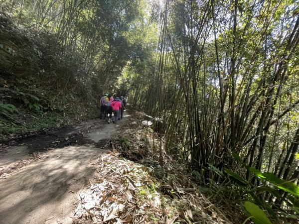 八通關雲龍瀑布2946611