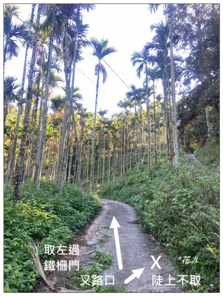 逐鹿古道、雨社山(南投、魚池)2667414