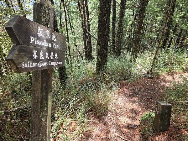 志佳陽大山／至高點／雪山大草原／瓢單山屋／四季蘭溪吊橋2927668