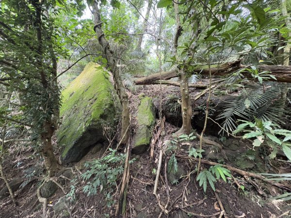 20251018台南 崁馬鞍部啟登崁頭山2920741