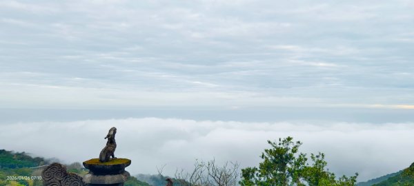 陽明山趴趴走追雲趣 #雲海 #琉璃光 1/26 認得幾個拍照地點共15個2988319