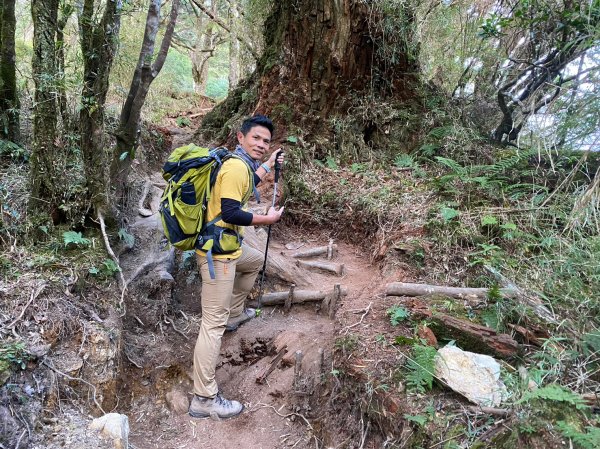 塔關山.關山嶺山【給錢死不要給人死之一日南橫雙星】2037102