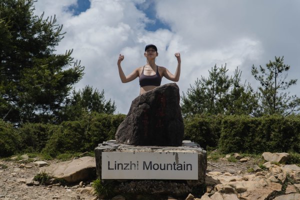 【鹿林山、麟趾山】夏日享受天然冷氣，散步欣賞玉山群峰和阿里山山脈2558789