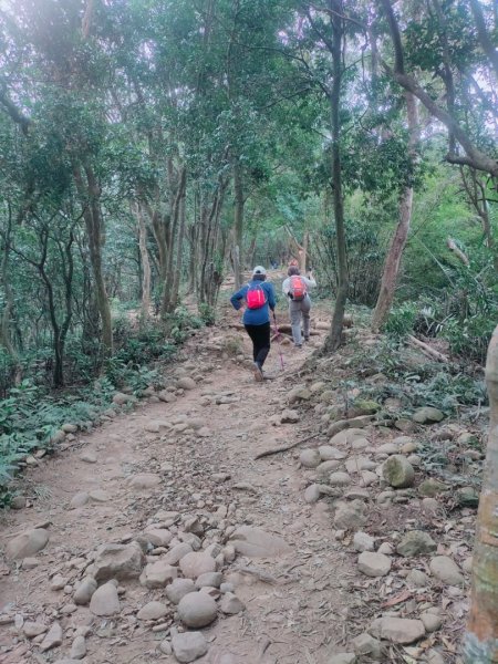 新竹［飛鳳山+中坑山+石壁潭山+大板根o形縱走］2231635