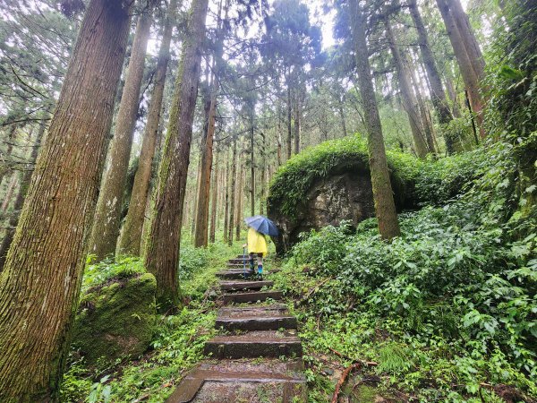 20250719頂湖上大凍山2907130