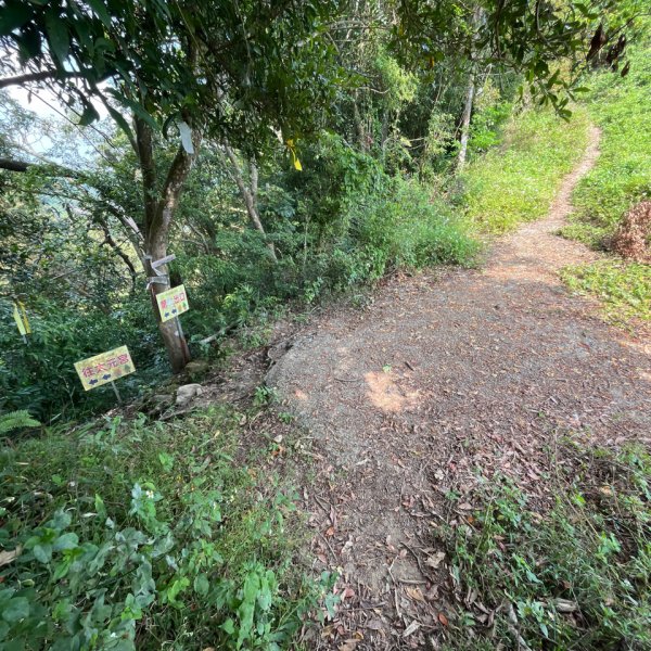 20231102_關西赤柯山（森遊竹縣）2762967