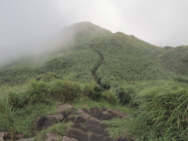 [台北]七星山主、東峰2031466