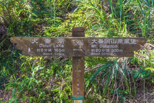 [台北]大崙頭山、碧山巖、忠勇山2746151