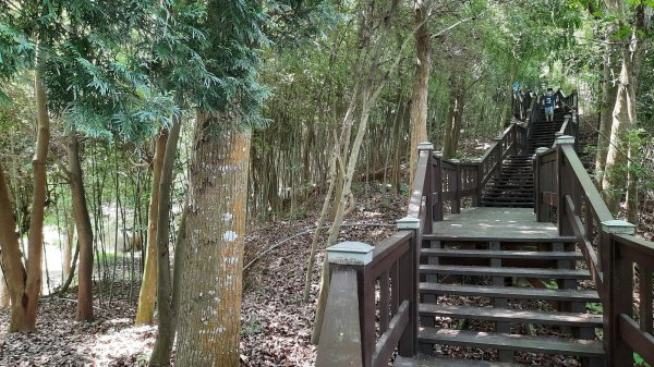 《台中》貓仔坑｜后里鳳凰山觀音山步道O繞202305282164546