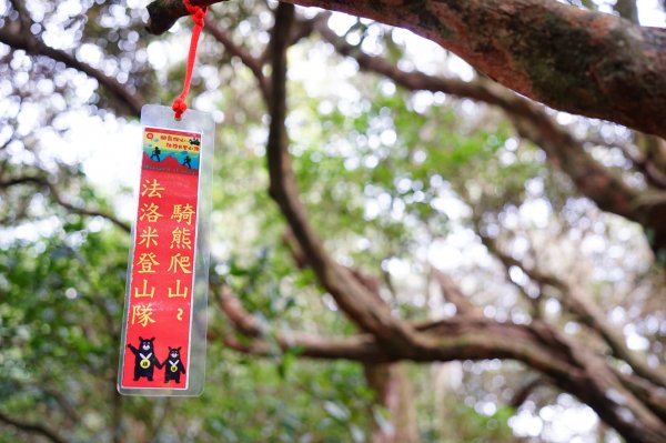 新竹關西鎮 水田林道之貴妃&那結山連走1539726